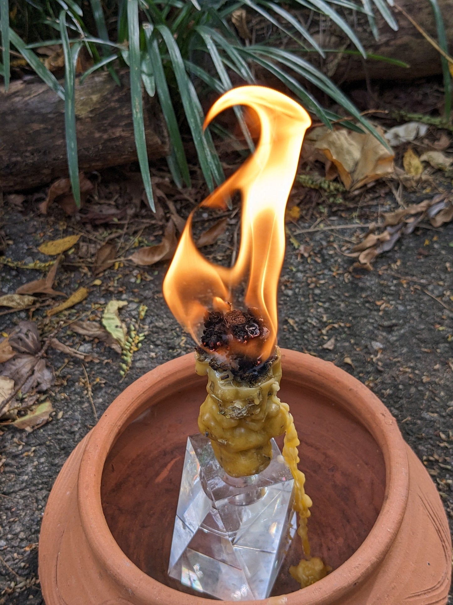 Sunshine Torch Mullein Torch Witch Candle